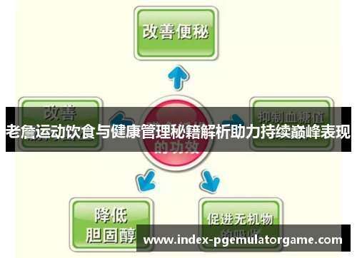 老詹运动饮食与健康管理秘籍解析助力持续巅峰表现