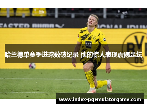 哈兰德单赛季进球数破纪录 他的惊人表现震撼足坛