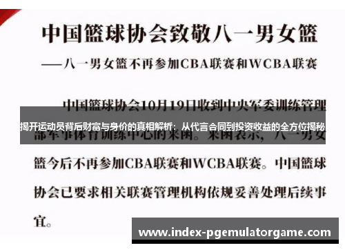 揭开运动员背后财富与身价的真相解析：从代言合同到投资收益的全方位揭秘