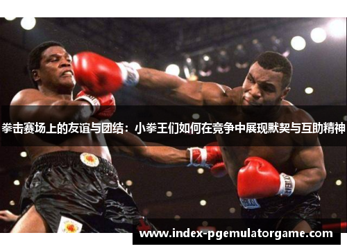 拳击赛场上的友谊与团结：小拳王们如何在竞争中展现默契与互助精神