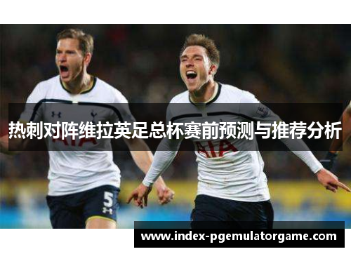 热刺对阵维拉英足总杯赛前预测与推荐分析