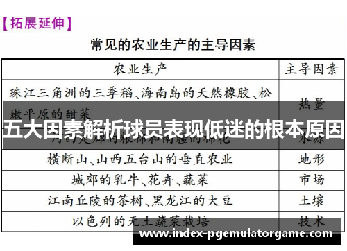 五大因素解析球员表现低迷的根本原因