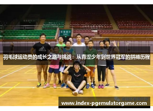 羽毛球运动员的成长之路与挑战：从青涩少年到世界冠军的拼搏历程