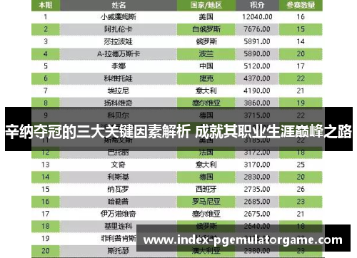 辛纳夺冠的三大关键因素解析 成就其职业生涯巅峰之路