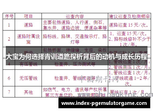 大宝为何选择青训道路探析背后的动机与成长历程