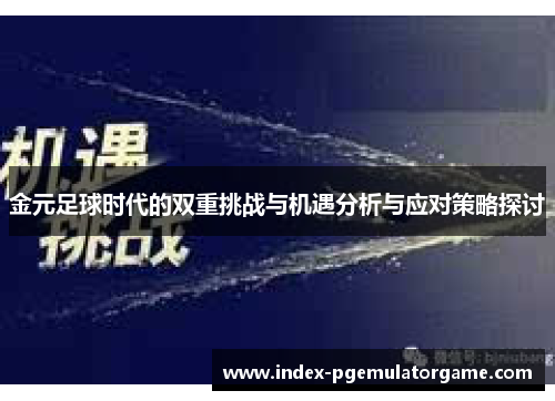 金元足球时代的双重挑战与机遇分析与应对策略探讨