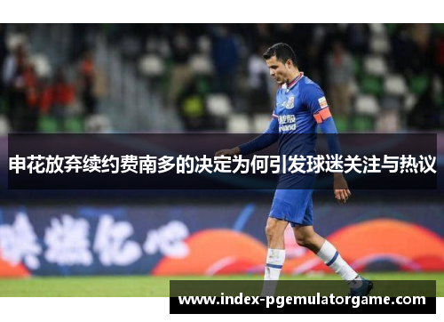 申花放弃续约费南多的决定为何引发球迷关注与热议