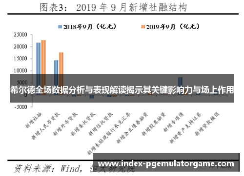 希尔德全场数据分析与表现解读揭示其关键影响力与场上作用