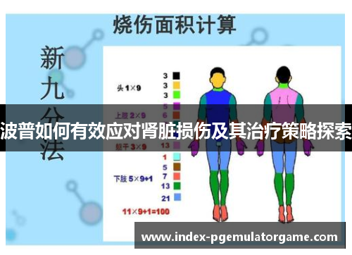 波普如何有效应对肾脏损伤及其治疗策略探索