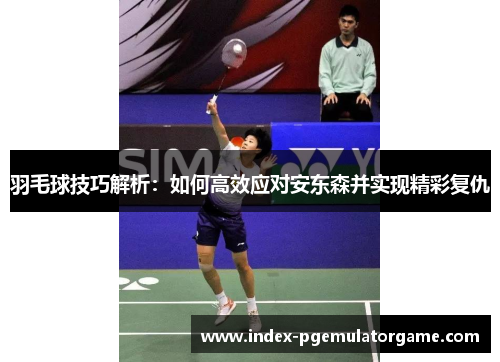 羽毛球技巧解析：如何高效应对安东森并实现精彩复仇