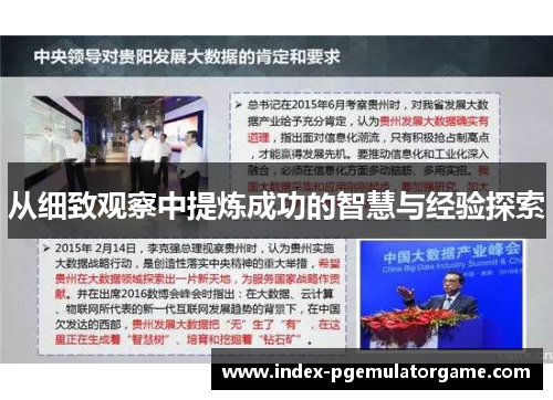 从细致观察中提炼成功的智慧与经验探索