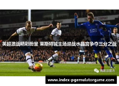 英超激战精彩纷呈 莱斯特城主场迎战水晶宫争夺三分之战