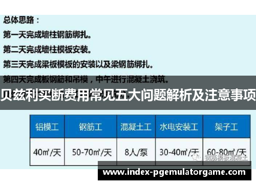 贝兹利买断费用常见五大问题解析及注意事项