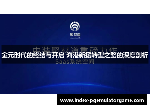 金元时代的终结与开启 海港新援转型之路的深度剖析