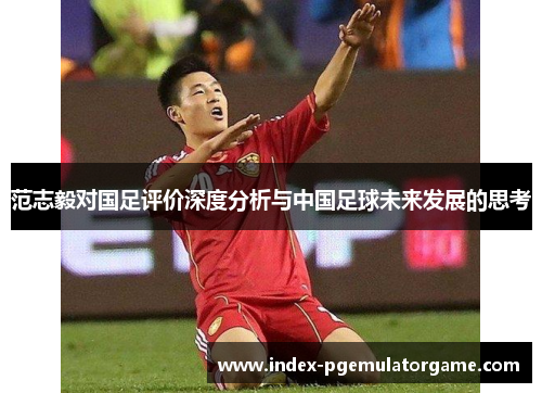 范志毅对国足评价深度分析与中国足球未来发展的思考