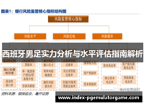 西班牙男足实力分析与水平评估指南解析