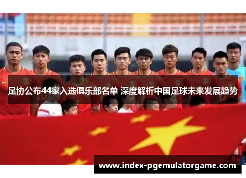 足协公布44家入选俱乐部名单 深度解析中国足球未来发展趋势