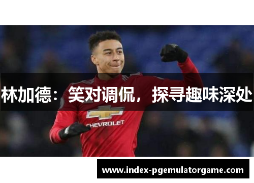 林加德：笑对调侃，探寻趣味深处