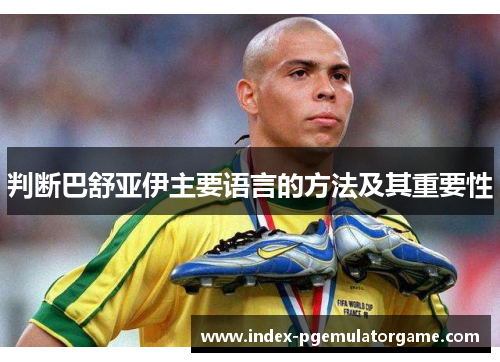 判断巴舒亚伊主要语言的方法及其重要性