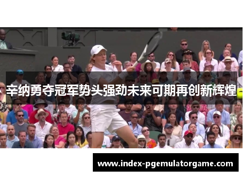 辛纳勇夺冠军势头强劲未来可期再创新辉煌 辛纳勇夺冠军势头强劲未来可期再创新辉煌