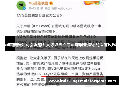 魏震禁赛处罚引发的五大讨论焦点与篮球职业道德的深度反思