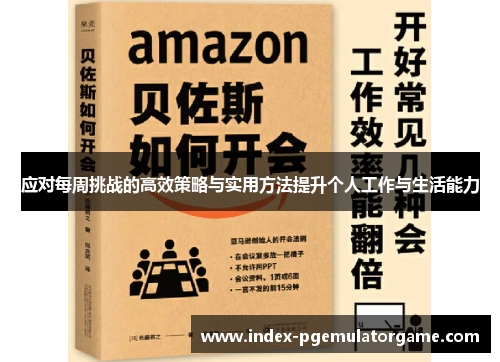 应对每周挑战的高效策略与实用方法提升个人工作与生活能力