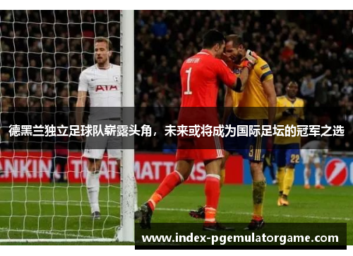 德黑兰独立足球队崭露头角，未来或将成为国际足坛的冠军之选