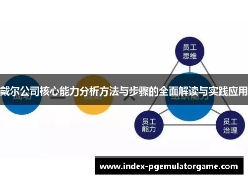 戴尔公司核心能力分析方法与步骤的全面解读与实践应用