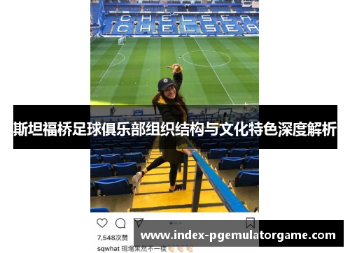 斯坦福桥足球俱乐部组织结构与文化特色深度解析