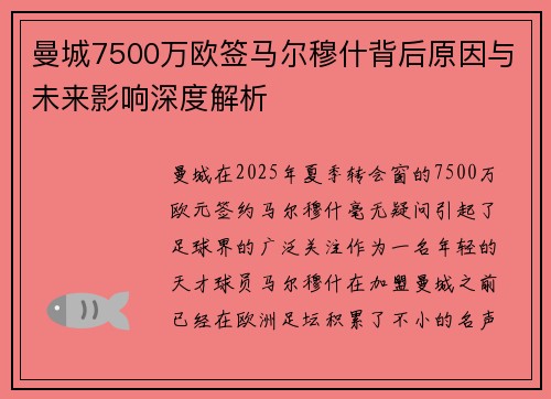 曼城7500万欧签马尔穆什背后原因与未来影响深度解析 曼城7500万欧签马尔穆什背后原因与未来影响深度解析